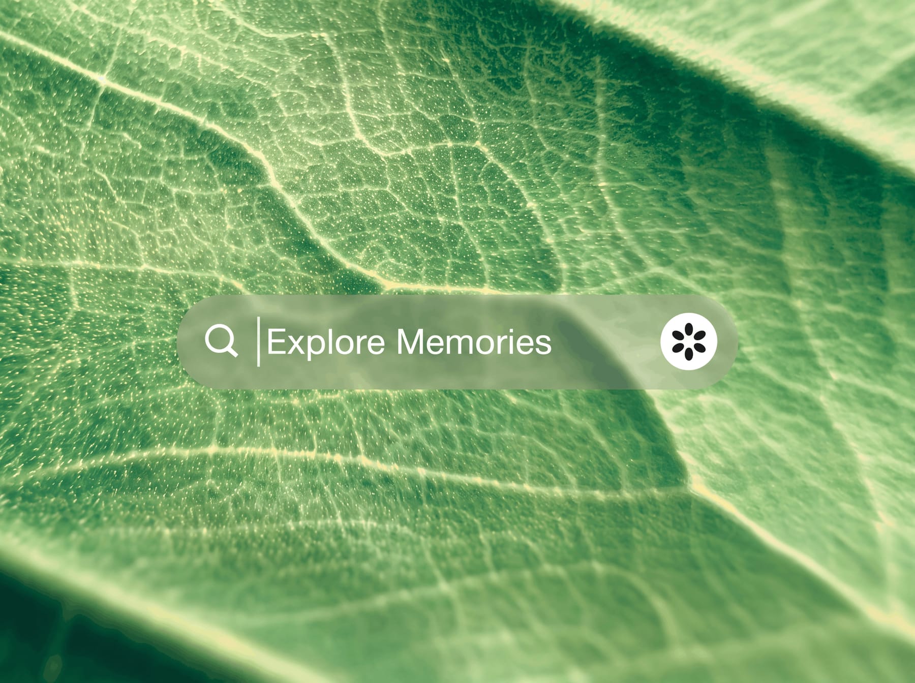 Memory Gets a Shape, and Settings That Do Something